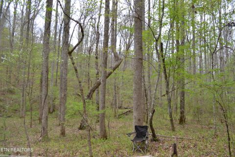 Tiny photo for N Of Deer Lodge Hwy, Deer Lodge, TN 37726 (MLS # 1336760)