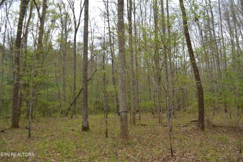 Tiny photo for N Of Deer Lodge Hwy, Deer Lodge, TN 37726 (MLS # 1336760)