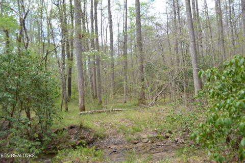 Tiny photo for N Of Deer Lodge Hwy, Deer Lodge, TN 37726 (MLS # 1336760)