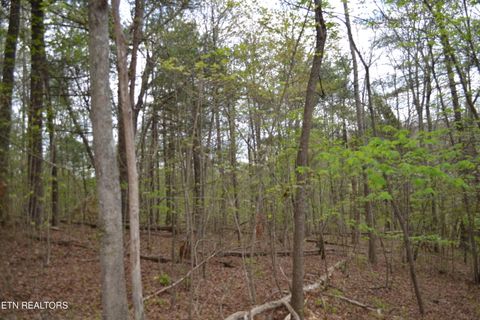 Tiny photo for N Of Deer Lodge Hwy, Deer Lodge, TN 37726 (MLS # 1336760)