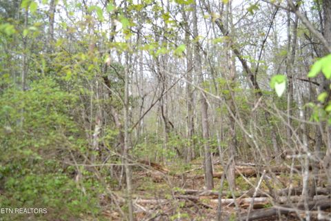 Tiny photo for N Of Deer Lodge Hwy, Deer Lodge, TN 37726 (MLS # 1336760)