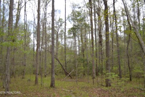 Tiny photo for N Of Deer Lodge Hwy, Deer Lodge, TN 37726 (MLS # 1336760)