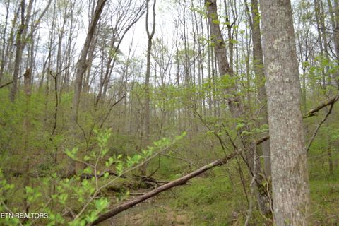 Tiny photo for N Of Deer Lodge Hwy, Deer Lodge, TN 37726 (MLS # 1336760)