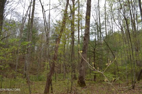 Tiny photo for N Of Deer Lodge Hwy, Deer Lodge, TN 37726 (MLS # 1336760)