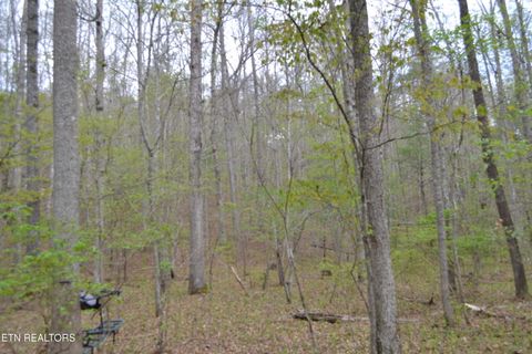 Tiny photo for N Of Deer Lodge Hwy, Deer Lodge, TN 37726 (MLS # 1336760)