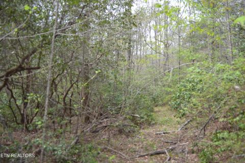 Tiny photo for N Of Deer Lodge Hwy, Deer Lodge, TN 37726 (MLS # 1336760)