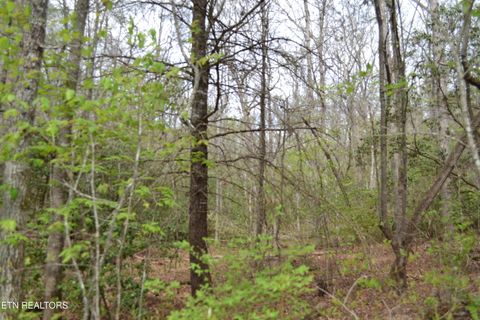 Tiny photo for N Of Deer Lodge Hwy, Deer Lodge, TN 37726 (MLS # 1336760)