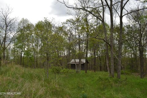 Photo of N Of Deer Lodge Hwy, Deer Lodge, TN 37726 (MLS # 1336760)