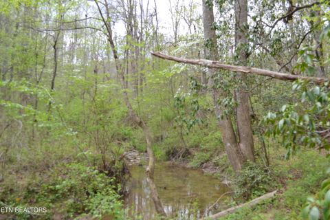 Tiny photo for N Of Deer Lodge Hwy, Deer Lodge, TN 37726 (MLS # 1336760)