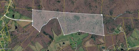 Tiny photo for N Of Deer Lodge Hwy, Deer Lodge, TN 37726 (MLS # 1336760)