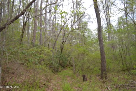 Tiny photo for N Of Deer Lodge Hwy, Deer Lodge, TN 37726 (MLS # 1336760)