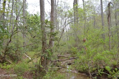 Tiny photo for N Of Deer Lodge Hwy, Deer Lodge, TN 37726 (MLS # 1336760)