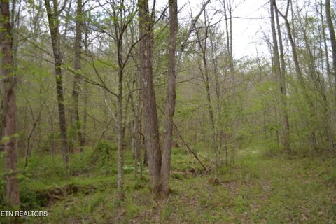 Tiny photo for N Of Deer Lodge Hwy, Deer Lodge, TN 37726 (MLS # 1336760)