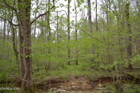 Tiny photo for N Of Deer Lodge Hwy, Deer Lodge, TN 37726 (MLS # 1336760)