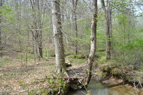 Tiny photo for N Of Deer Lodge Hwy, Deer Lodge, TN 37726 (MLS # 1336760)
