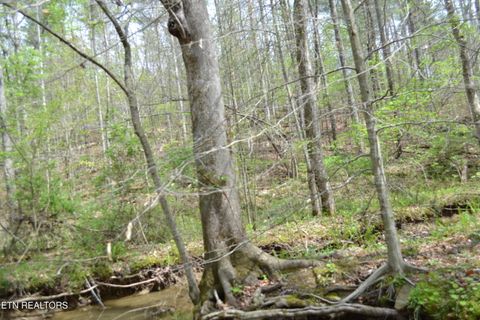Tiny photo for N Of Deer Lodge Hwy, Deer Lodge, TN 37726 (MLS # 1336760)