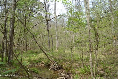 Tiny photo for N Of Deer Lodge Hwy, Deer Lodge, TN 37726 (MLS # 1336760)