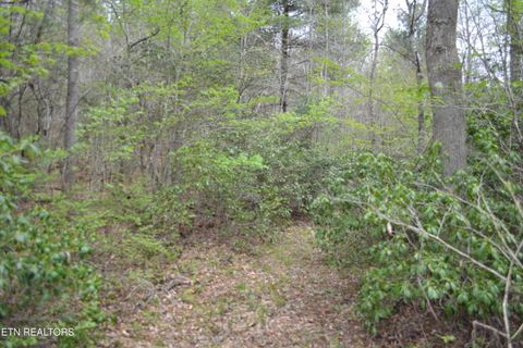 Tiny photo for N Of Deer Lodge Hwy, Deer Lodge, TN 37726 (MLS # 1336760)