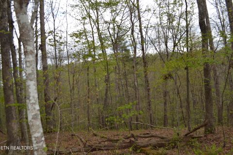 Tiny photo for N Of Deer Lodge Hwy, Deer Lodge, TN 37726 (MLS # 1336760)