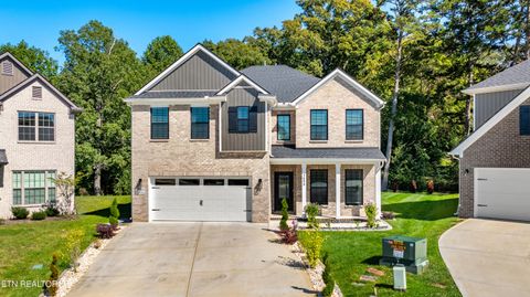 1653 Sugar Cane Lane Knoxville TN 37931