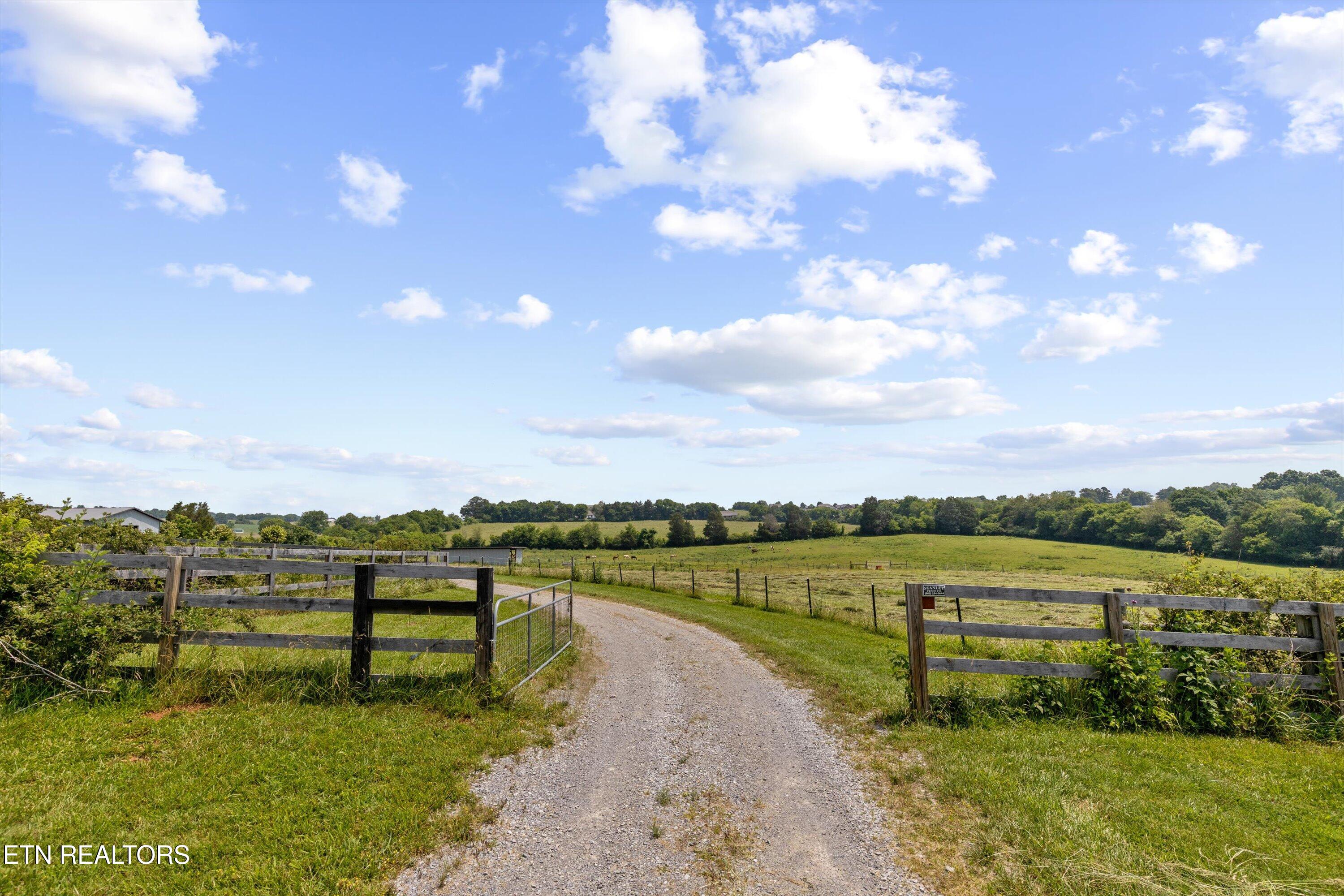 Maple Lane
