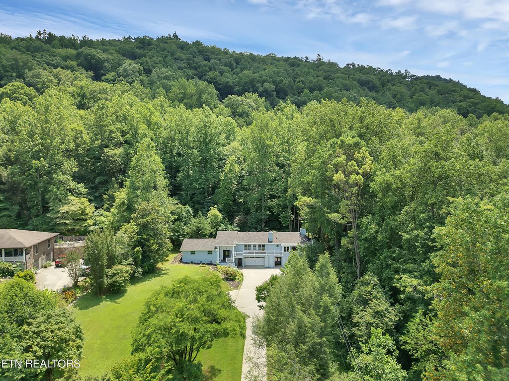 Photo of 355 E Chestnut Hill Rd, Townsend, TN 37882 (MLS # 1307519)