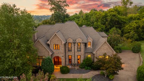 Photo of 818 Hammock Lane, Knoxville, TN 37934 (MLS # 1315794)