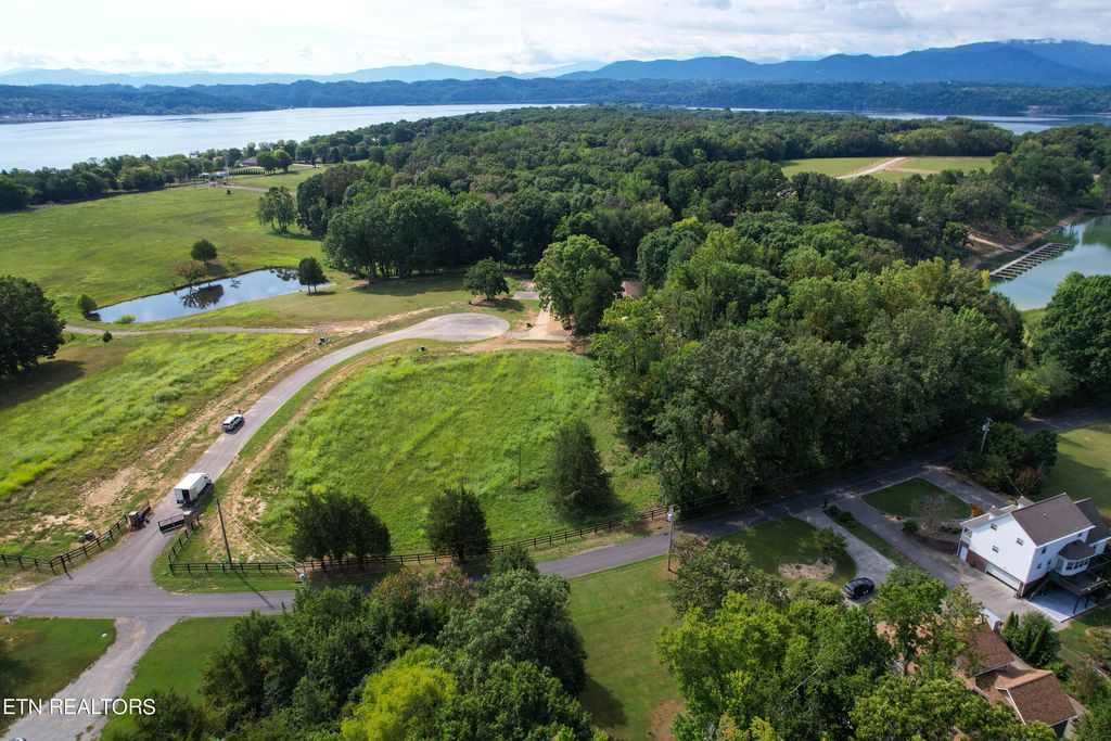 Photo of 1213 Harrison Ferry Rd, White Pine, TN 37890 (MLS # 1276178)