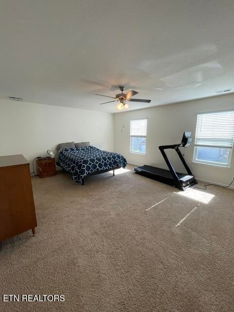 Tiny photo for 146 Ibis Loop, Oak Ridge, TN 37830 (MLS # 1360338)