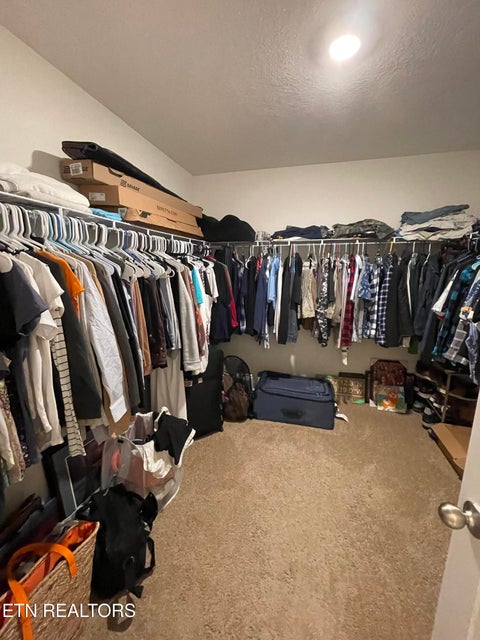 Tiny photo for 146 Ibis Loop, Oak Ridge, TN 37830 (MLS # 1360338)