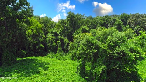 Tiny photo for 0 Avalon Tr, Knoxville, TN 37920 (MLS # 1350267)