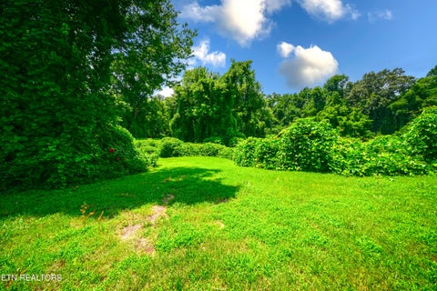 Tiny photo for 0 Avalon Tr, Knoxville, TN 37920 (MLS # 1350267)