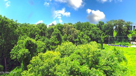 Tiny photo for 0 Avalon Tr, Knoxville, TN 37920 (MLS # 1350267)