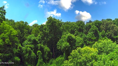 Tiny photo for 0 Avalon Tr, Knoxville, TN 37920 (MLS # 1350267)