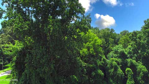 Tiny photo for 0 Avalon Tr, Knoxville, TN 37920 (MLS # 1350267)