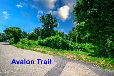 Photo of 0 Avalon Tr, Knoxville, TN 37920 (MLS # 1350267)