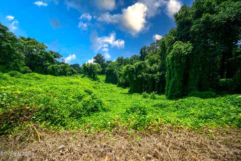 Tiny photo for 0 Avalon Tr, Knoxville, TN 37920 (MLS # 1350267)