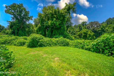 Tiny photo for 0 Avalon Tr, Knoxville, TN 37920 (MLS # 1350267)