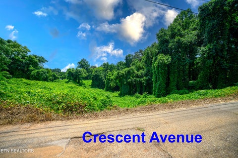 Tiny photo for 0 Avalon Tr, Knoxville, TN 37920 (MLS # 1350267)