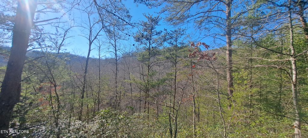 Photo of Geisz Way, Sevierville, TN 37862 (MLS # 1334270)
