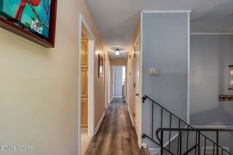 Tiny photo for 8304 Santa Fe Tr, Knoxville, TN 37919 (MLS # 1336761)