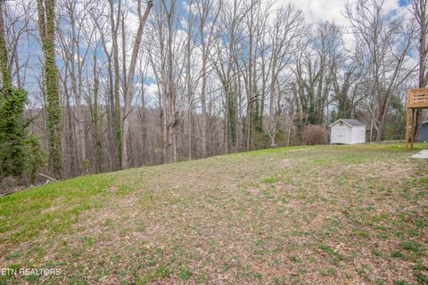 Tiny photo for 127 Ridge Lane, Clinton, TN 37716 (MLS # 1293510)