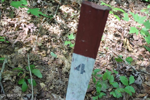 Photo of Pickett Park Hwy, Jamestown, TN 38556 (MLS # 1357167)