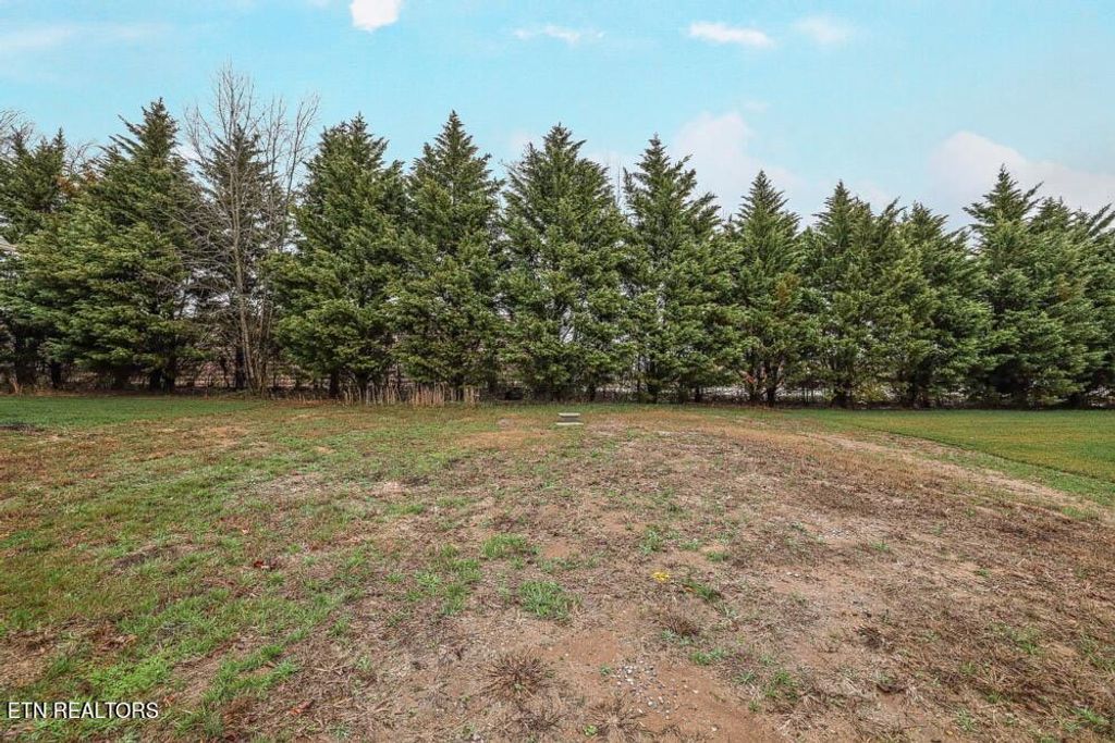 Photo of 1568 Tsuga Drive, Alcoa, TN 37701 (MLS # 1254558)