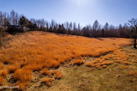 Tiny photo for 1250 Old Hwy 68, Sweetwater, TN 37874 (MLS # 1328127)