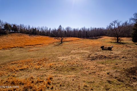 Tiny photo for 1250 Old Hwy 68, Sweetwater, TN 37874 (MLS # 1328127)