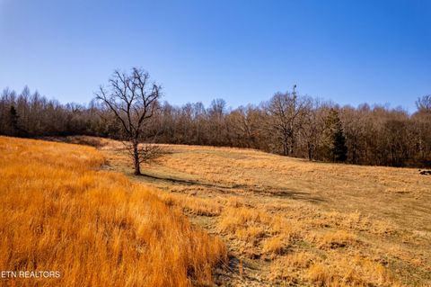 Tiny photo for 1250 Old Hwy 68, Sweetwater, TN 37874 (MLS # 1328127)