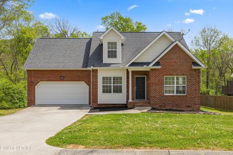 Photo of 3024 Pinex Lane, Knoxville, TN 37921 (MLS # 1335758)