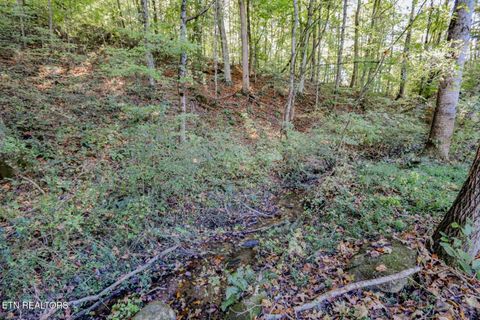 Tiny photo for 2409 Perilla Dr Dr, Cosby, TN 37722 (MLS # 1319396)