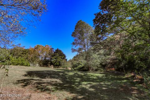 Tiny photo for 2409 Perilla Dr Dr, Cosby, TN 37722 (MLS # 1319396)